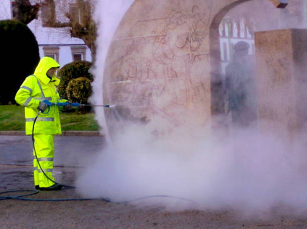 Best Local Pressure Washing Services  in Clayton, IN